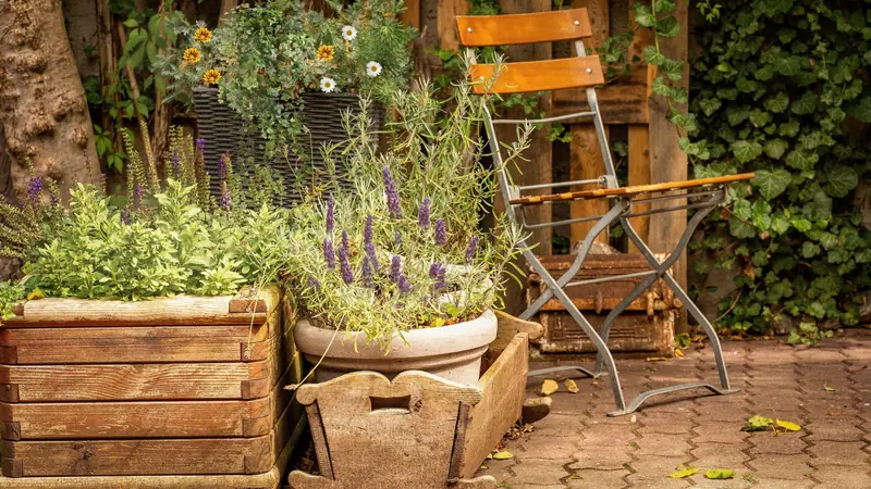 Bac à fleurs en bois patiné planté de lavande et de sauge sur une terrasse pavée, à côté d'une chaise pliante