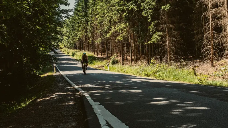 Cycliste roulant sur une route forestière bordée de pins