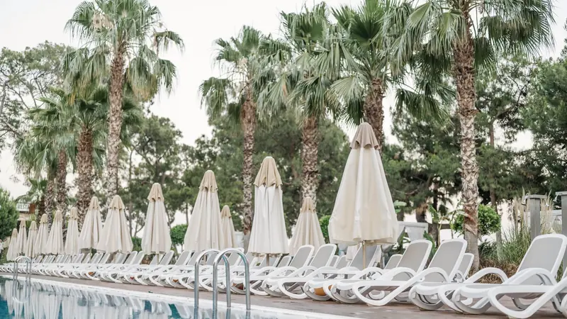 Transats blancs et parasols fermés alignés au bord d'une piscine, sous des palmiers et des pins