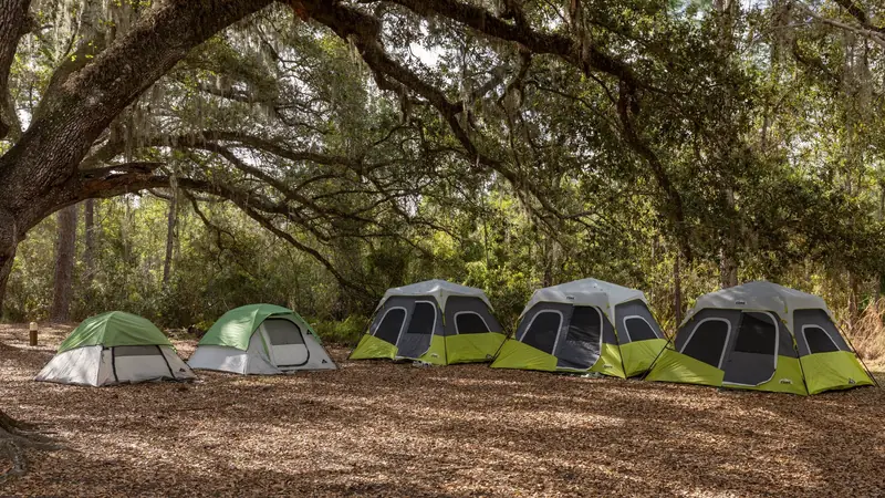Cinq tentes montées côte à côte sous les branches d'un grand chêne sur un terrain de camping ombragé