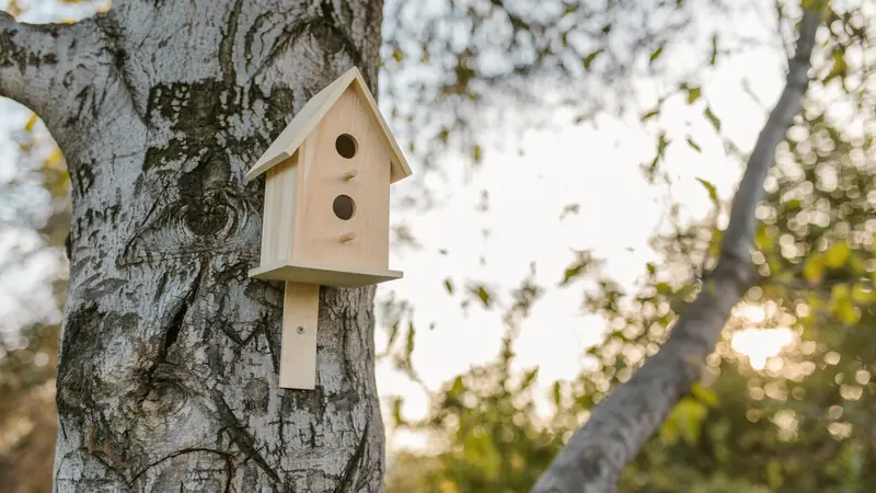 Nichoir en bois fixé sur le tronc d'un arbre dans un jardin