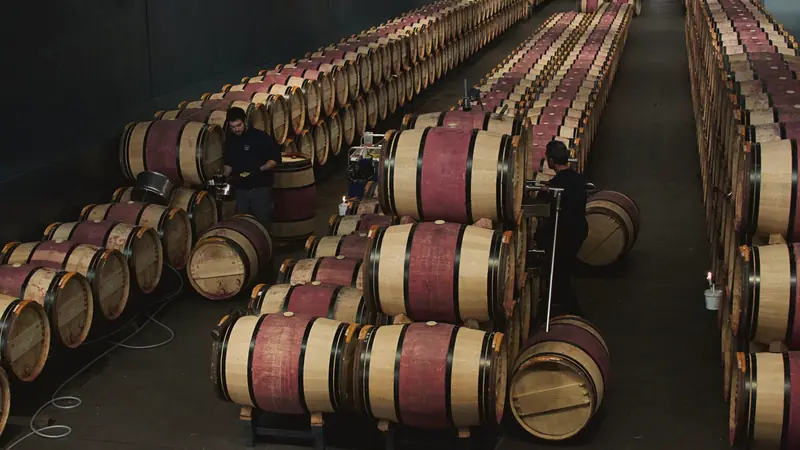 Chai à barriques d'une grande propriété viticole, avec des rangées de fûts de chêne