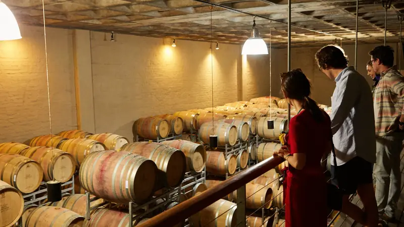 Visiteurs découvrant un chai à barriques lors d'une visite