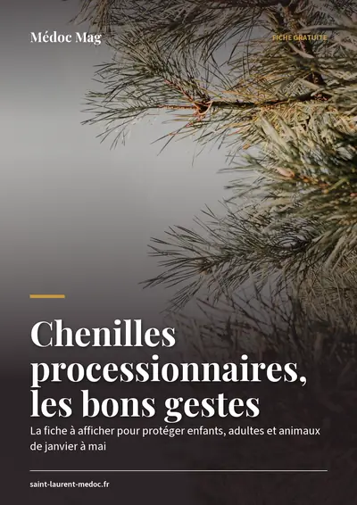 Couverture de l'ebook Chenilles processionnaires, les bons gestes