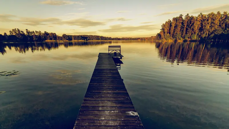 Ponton en bois s'avançant sur un grand lac calme bordé de pins au coucher du soleil