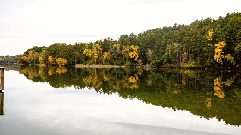 Lac calme reflétant une forêt aux couleurs d'automne