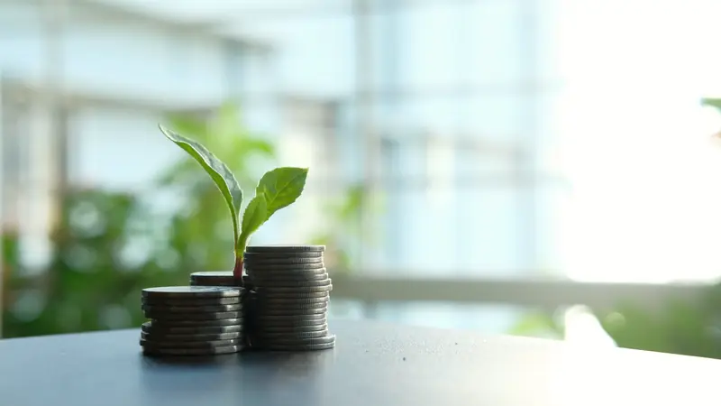 Piles de pièces de monnaie et jeune pousse sur une table