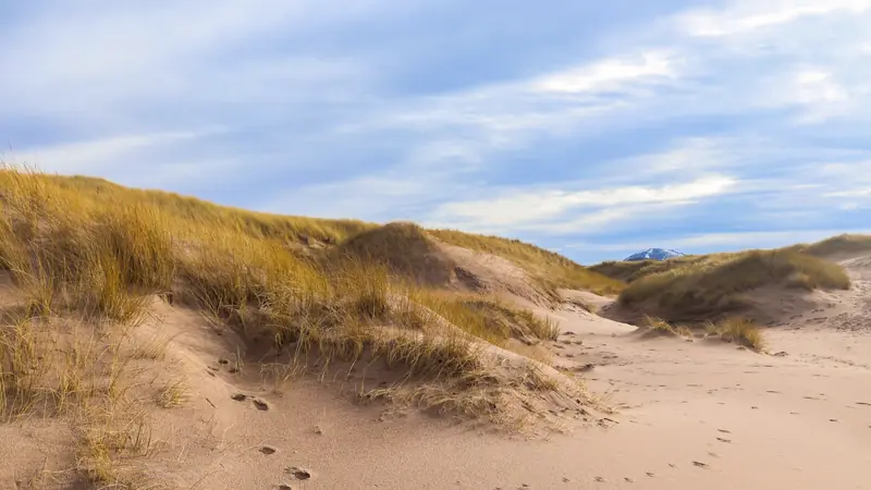 Longue plage de sable déserte bordée de dunes sous un ciel bleu