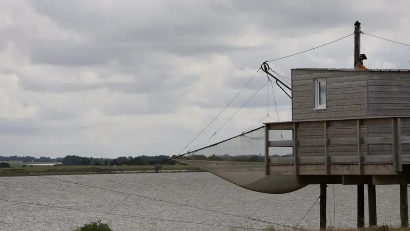 Cabane de pêche sur pilotis avec un grand filet carré au bord d'un estuaire