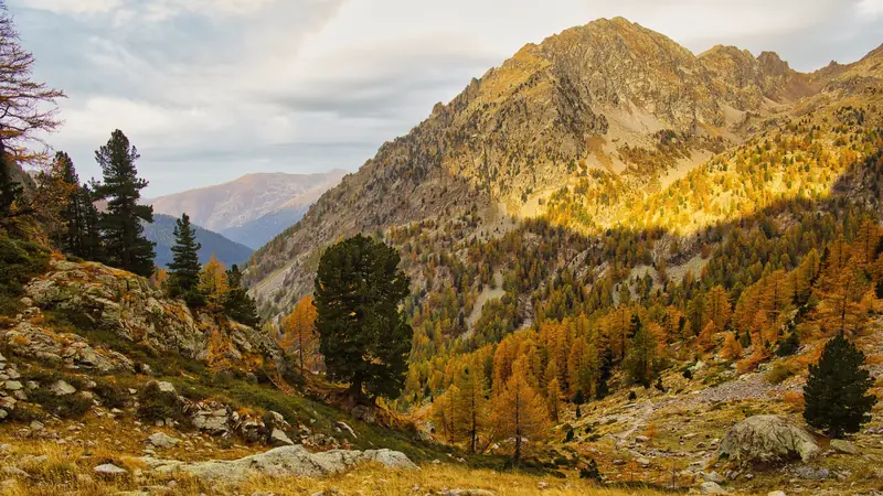 Montagnes alpines aux couleurs de l'automne