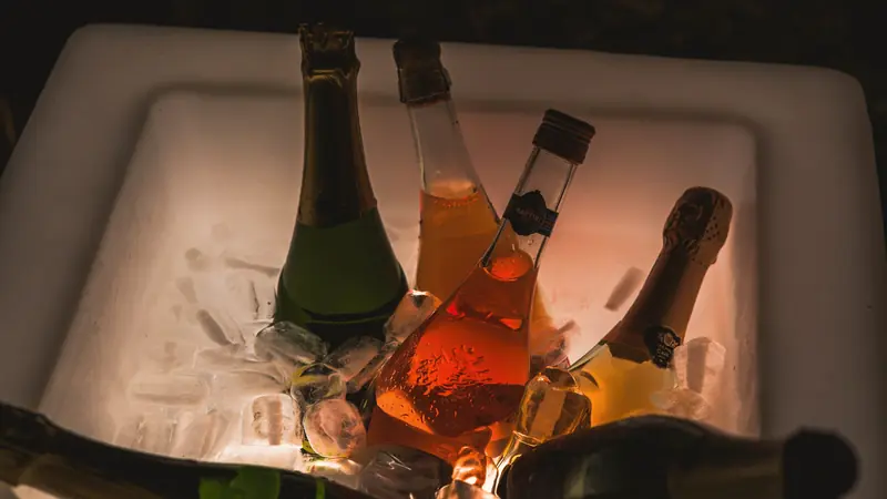 Bouteilles de vin plongées dans un bac rempli de glace